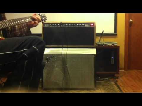 Shakedown Amps Modified Fender Twin Reverb 4