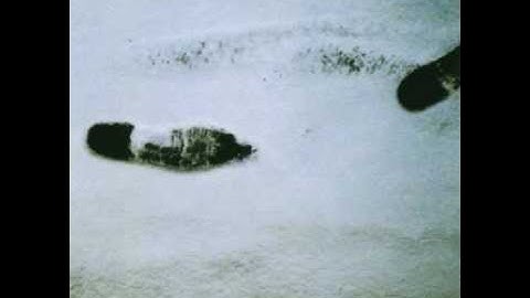 Stephen Jay "Underwater"