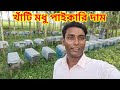 খাঁটি মধু পাইকারি দাম