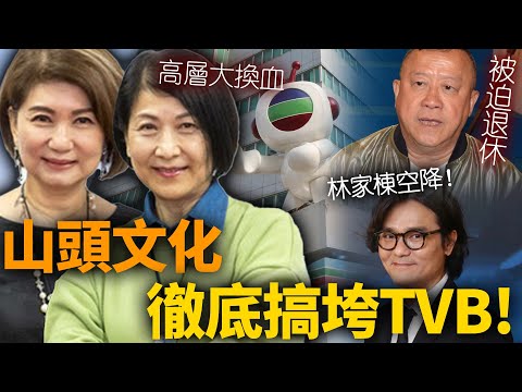 林家棟頂替曾志偉！TVB內鬥結果出爐，總經理曾志偉落敗被迫退休，曾勵珍樂易玲獨佔鰲頭，無人能撼動？究竟有何手段！？【HK頭條】