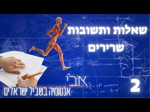 וִידֵאוֹ: אילו שרירים פועלת משיכה?