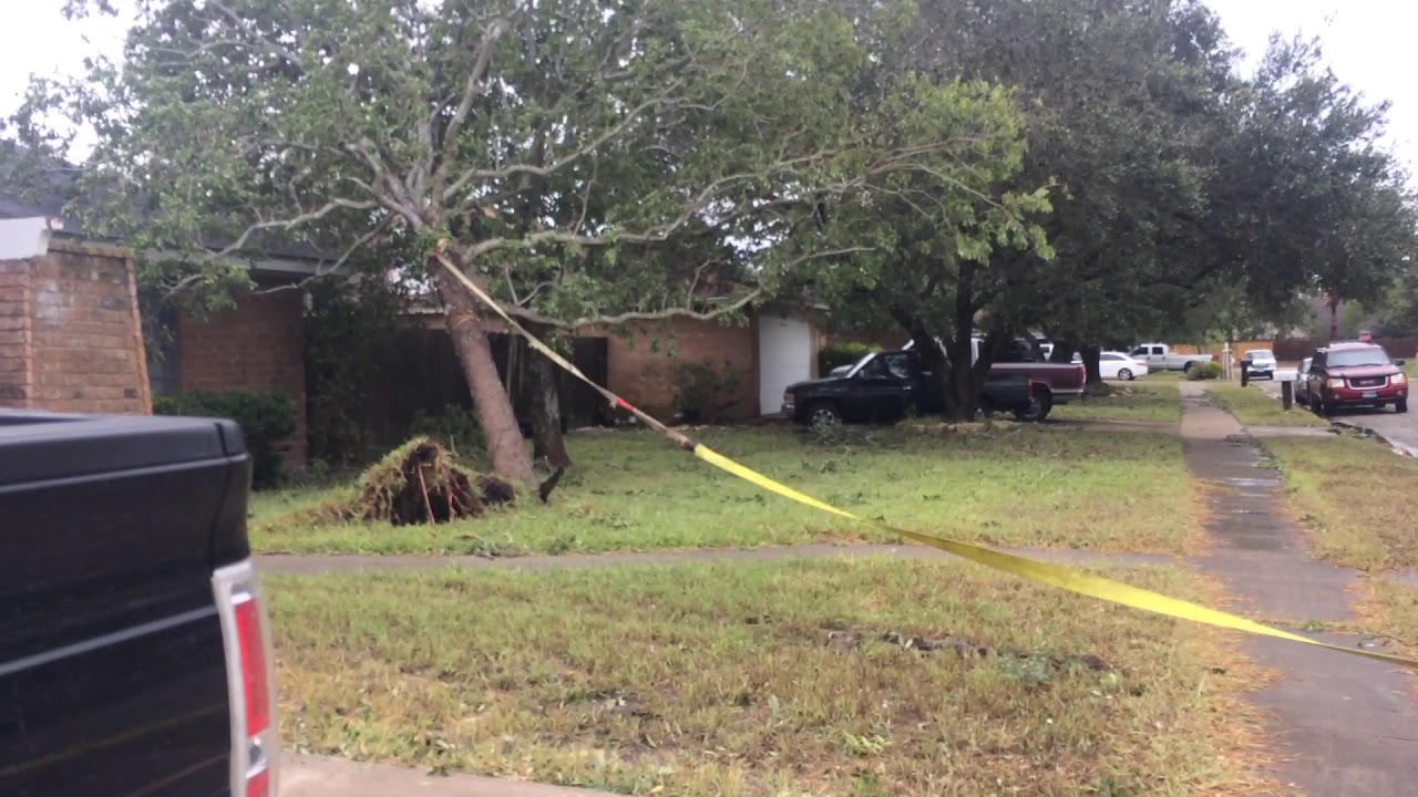 Dodge pull tree out the ground after Hurricane Harvey - YouTube