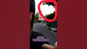 waspada kakek cangkul#short
