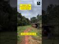70 Cent Rtc 4.50 Acre Kumki Beautiful Land with Farm House For Sale | Kundapura | Udupi | Karnataka