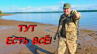 МАЛЬДИВЫ ОТДЫХАЮТ, НАШЁЛ ЗОЛОТО, МОНЕТЫ, ЧЕШУЮ! ТУТ ЕСТЬ ВСЁ! МАЛЬДИВЫ ОТДЫХАЮТ, НАШЁЛ ЗОЛОТО, МОНЕТЫ, ЧЕШУЮ! ТУТ ЕСТЬ ВСЁ!