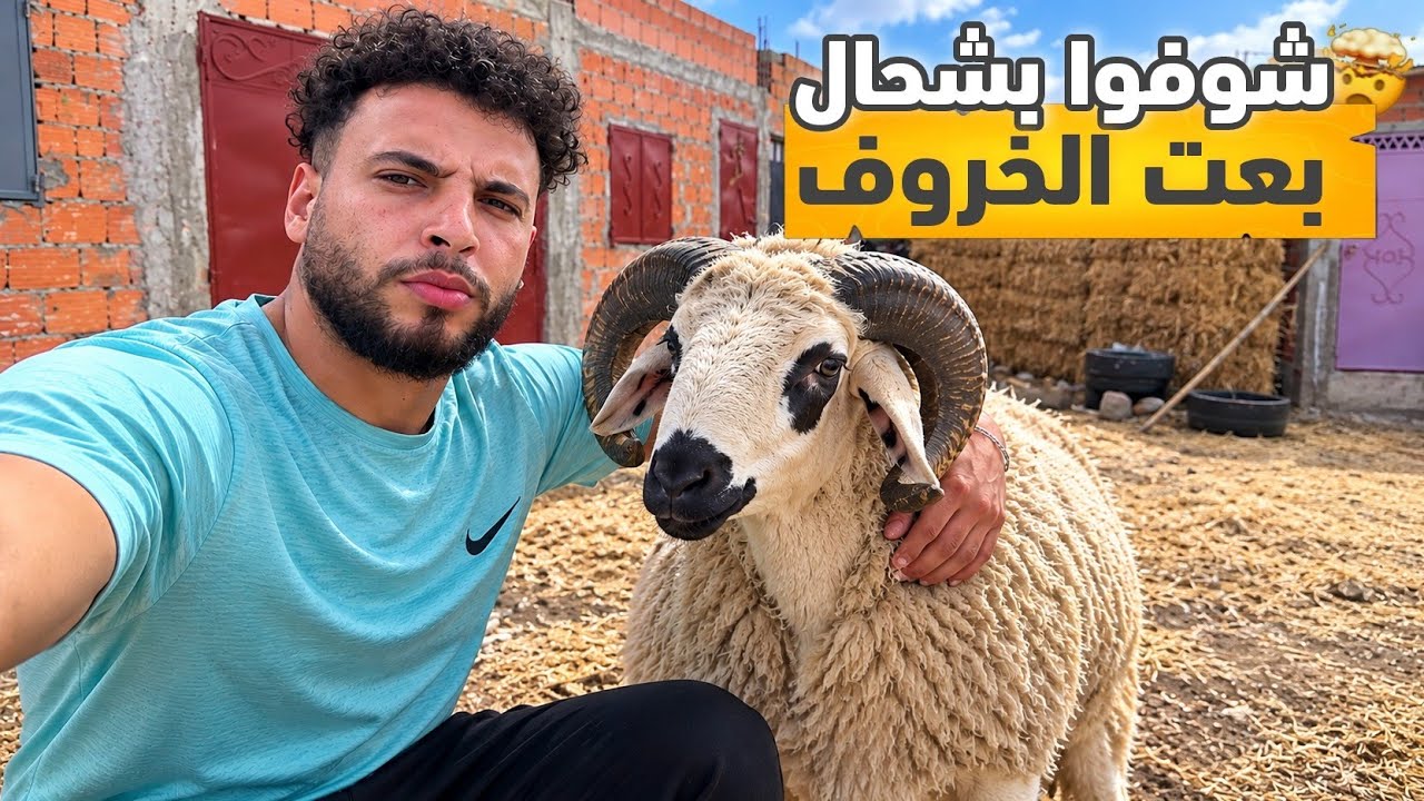 Latest Title & Thumbnail