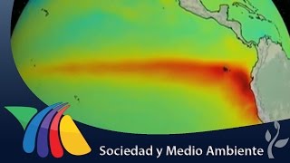 Fenómeno 'El Niño' tendrá consecuencias en México | Noticias