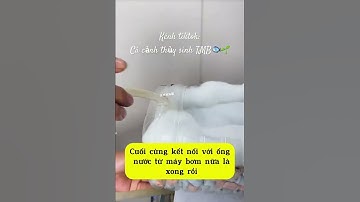 Hướng dẫn chế bộ lọc cho bể cá đơn giản🥰