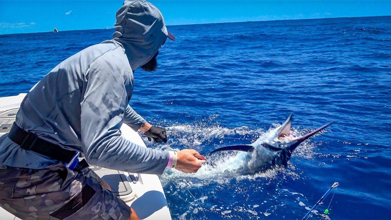 Fishing live baits for Marlin off the Gold Coast... YouTube
