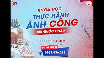 Khám phá HUYỀN CÔNG Bùi Quốc Châu trong Diện Chẩn - Việt Y Đạo. (Bí Mật Tạo Hoá)