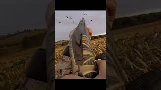 Over and Under goose hunting Day. screenshot 2