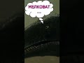 СИЛЬНОЕ ЗАЯВЛЕНИЕ! #shorts #dinosaur #memes #юмор