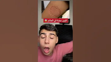 اقوى حيوان في ألعالم 