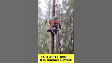 FAST AND FURIOUS tree trimmer climber