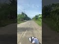 Strolling around the neighborhood