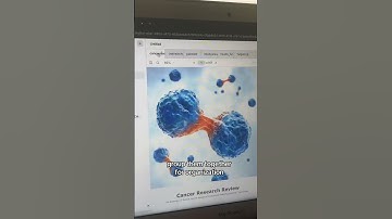 soooo much better than chat GPT ! #phd #degree #studytok #research #university #masters #studytips