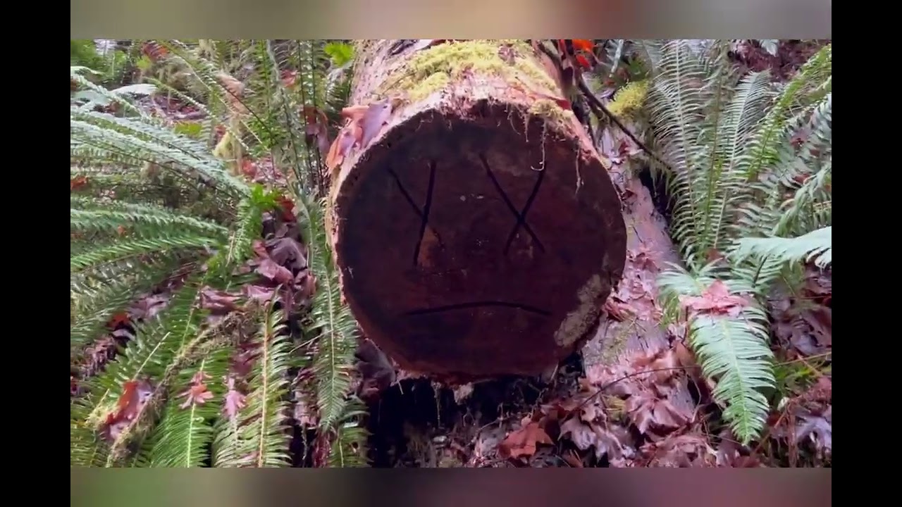 Cascadia state park Sweethome Oregon