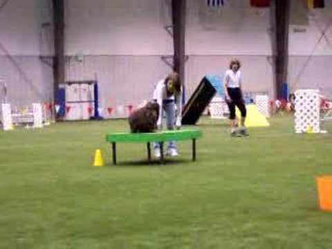 lizard skin grips Dog agility