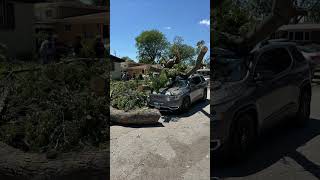 Tornado downs trees trapping elderly couple in home in Homewood