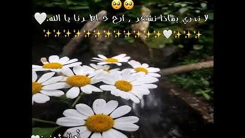 راحة نفسية 🌸- حالات واتس اب دينية - ستوريات قرآن كريم🌸 - مقاطع انستغرام دينية قصيرة - سورة يوسف