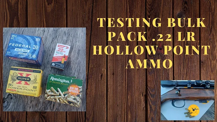 Testing Bulk Pack  22 Hollow Point  Ammo