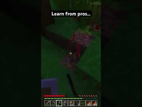 Learn from pros…
