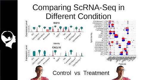 Comparing scRNA-Seq | Suerat Integration Analysis (Brief)
