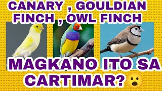 CARTIMAR BIRDS UPDATED PRICE LIST , MARAMING MGA RARE NA IBON ANG AVAILABLE!!! vlog#376