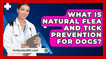 What Is Natural Flea And Tick Prevention For Dogs? - PetGuide360.com