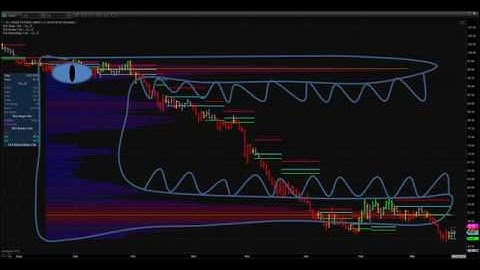 TAS MARKET MAP  VIDEOS TAS Market Profile 7