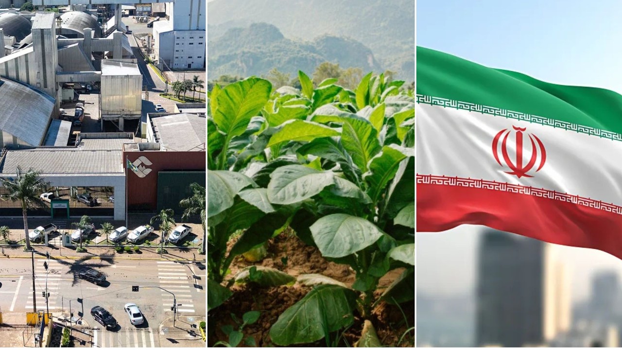 Confira as principais notícias do agronegócio da manhã desta quarta em PG