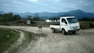 A Beautiful Place ?????