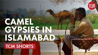 Meet the Camel Gypsies of Islamabad