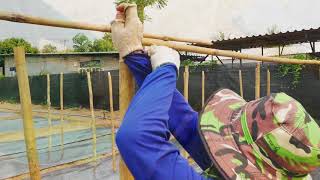 How to install and set up net trellising