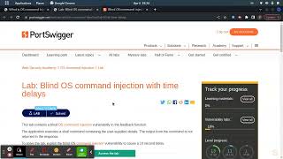 Lab: Blind OS command injection with time delays