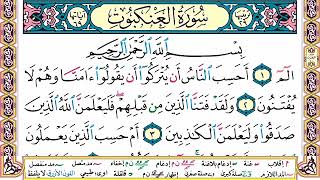 سورة العنكبوت | القارئ السنغالي الشيخ محمد الهادي توري مكتوبة | Sheikh Mohammed al-Hady Toure
