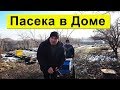 Пчелы Зимуют в Доме  🐝 Смешные Истории за Сезон ✅