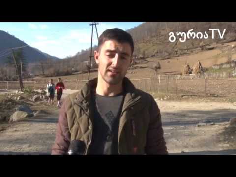 გურიის ახალი ამბები – სივრცე ახალგაზრდებისთვის – ზოტი