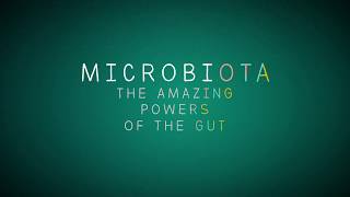 Microbiota The Amazing Powers Of The Gut Extrait