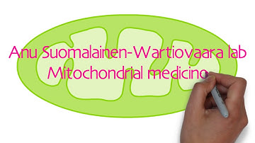 New findings on the development of mitochondrial myopathy!