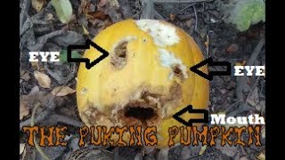 The Puking Pumpkin