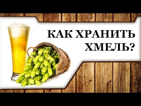 Хранение хмеля в домашних условиях