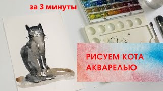 Как нарисовать кота за 3 минуты. Акварель