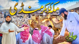 Makkah ki bakra Mandi hajj season 2024 | Latest hajj 2024 updates