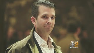 Donald Trump Jr. Under Fire For Meeting With Russian Attorney