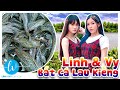 Linh Dắt Vy Về Miền Tây Bắt Cá Lau Kiếng I Linh Vyy Official