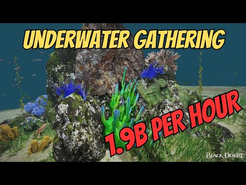 BDO 3000 Mastery 1000 Life EXP Underwater Gathering 1.9B PROFIT