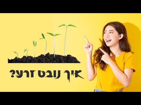 וִידֵאוֹ: איך זרע נובט לצמח?