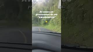 Estrada da Graciosa, Paraná, Turismo PR, Bon Jovi Always, AWARANOUU, Serra do Mar, Viagem de Carro