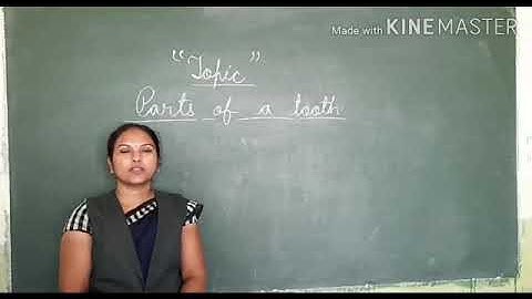 Dalauda Public School Class 4th science chapter 4 (Part 2) By Bindu Tiwari